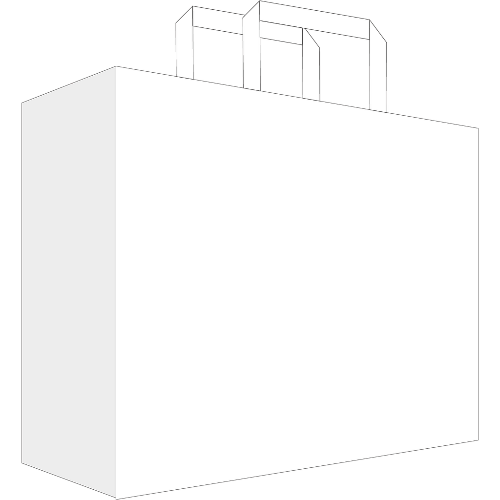 Sacs papier - neutres