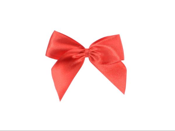 Noeuds Satin Brillant - 50 pièces