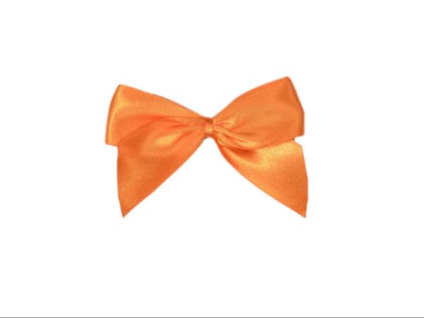 Noeuds Satin Brillant - 50 pièces