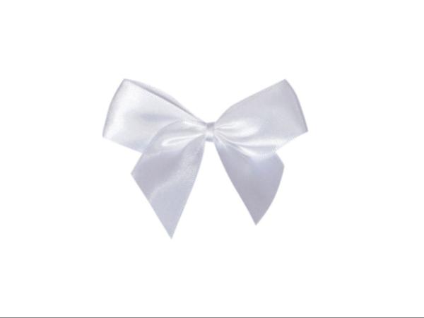 Noeuds Satin Brillant - 50 pièces